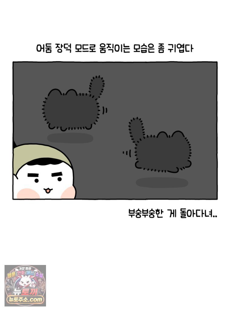 021.jpg